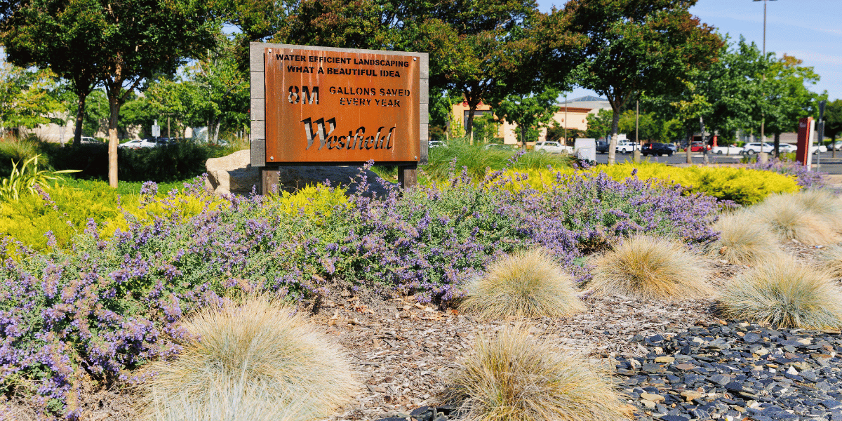 A landscaped park with purple flowering plants and gravel paths, lined with trees, and a wooden sign in the center with carved text and a large W emblem.